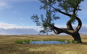 2024777253_desert water