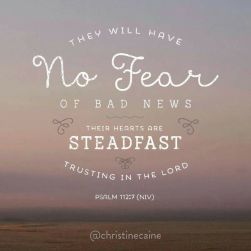 4072e1cb97e87a0532525dcf41825f8d