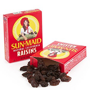 Can-I-Give-My-Dog-Raisins