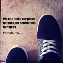 ec0d7d5a7f856a6831005aa002099f41